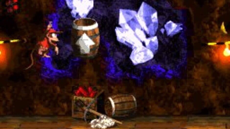 Скриншот 6 из Donkey Kong Country 2: Diddy's Kong Quest