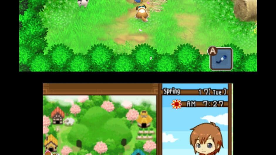 Скриншот 1 из Harvest Moon: The Tale of Two Towns