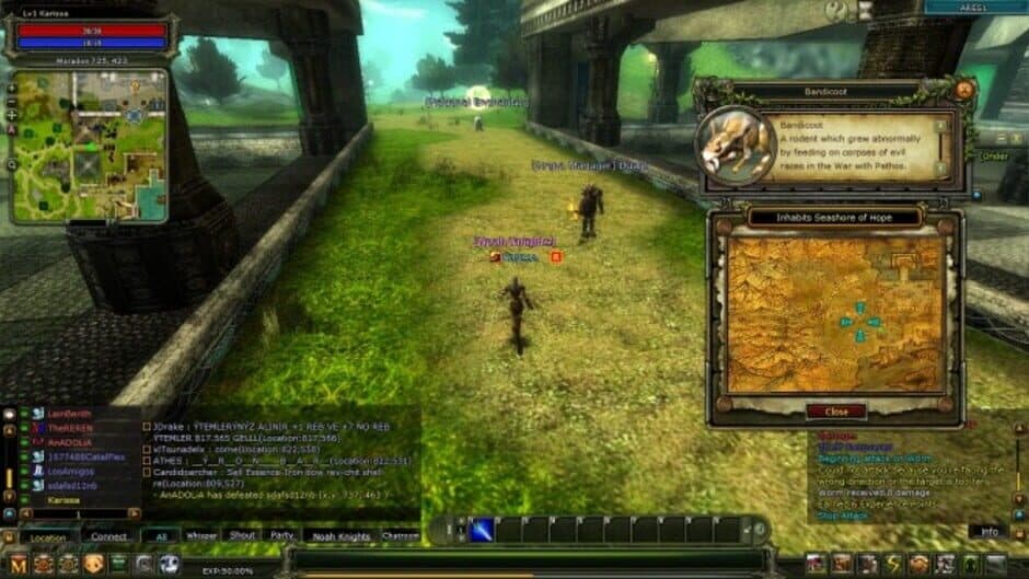 Скриншот 1 из Knight Online