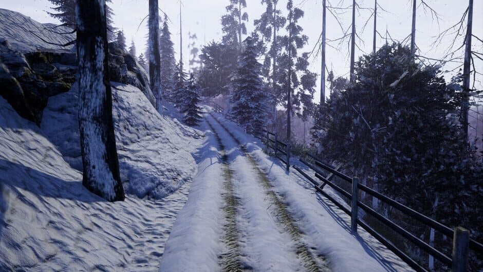 Скриншот 10 из Before Nightfall