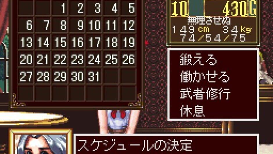 Скриншот 5 из Princess Maker: Legend of Another World