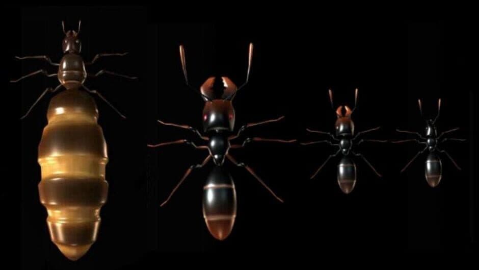 Скриншот 4 из Ant Queen