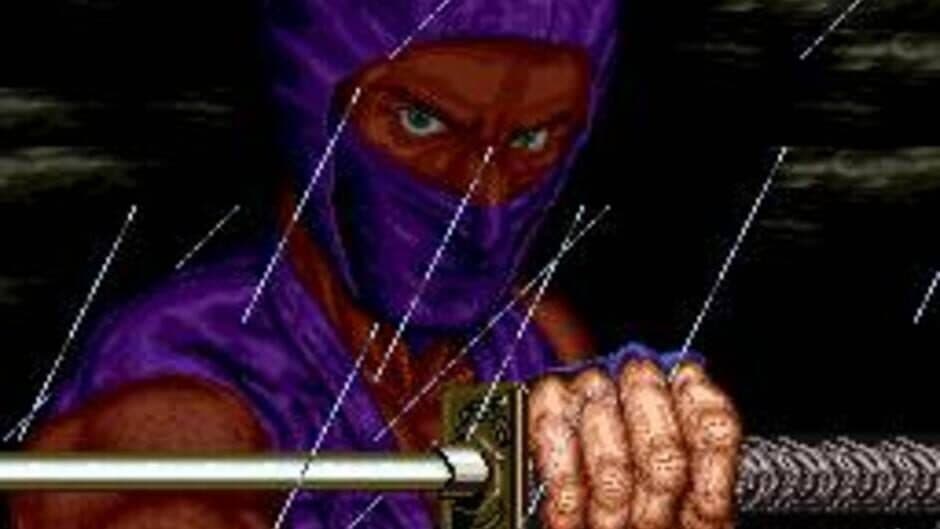 Скриншот 8 из Ninja Gaiden