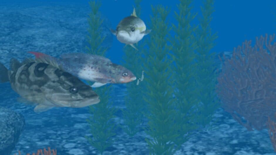 Скриншот 8 из Reel Fishing: Ocean Challenge