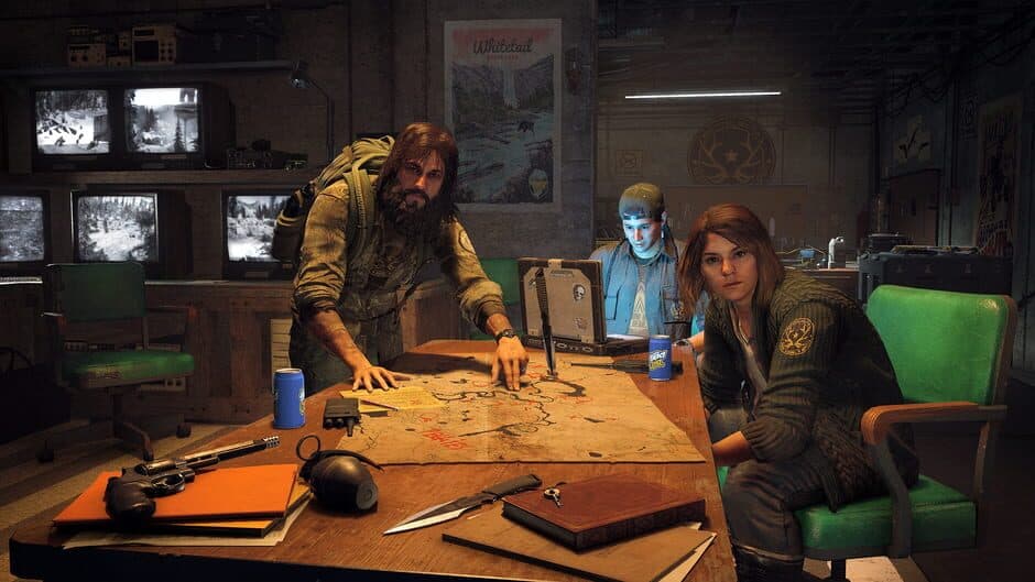 Скриншот 8 из Far Cry 5