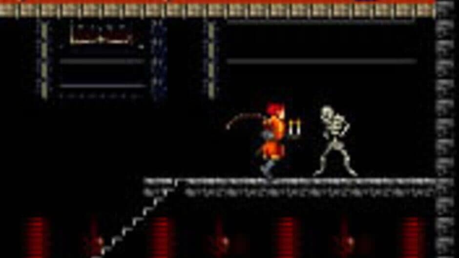 Скриншот 1 из Castlevania: Order of Shadows