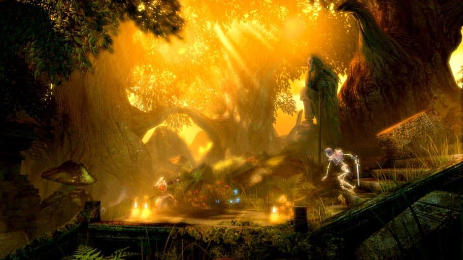 Скриншот 9 из Trine Enchanted Edition