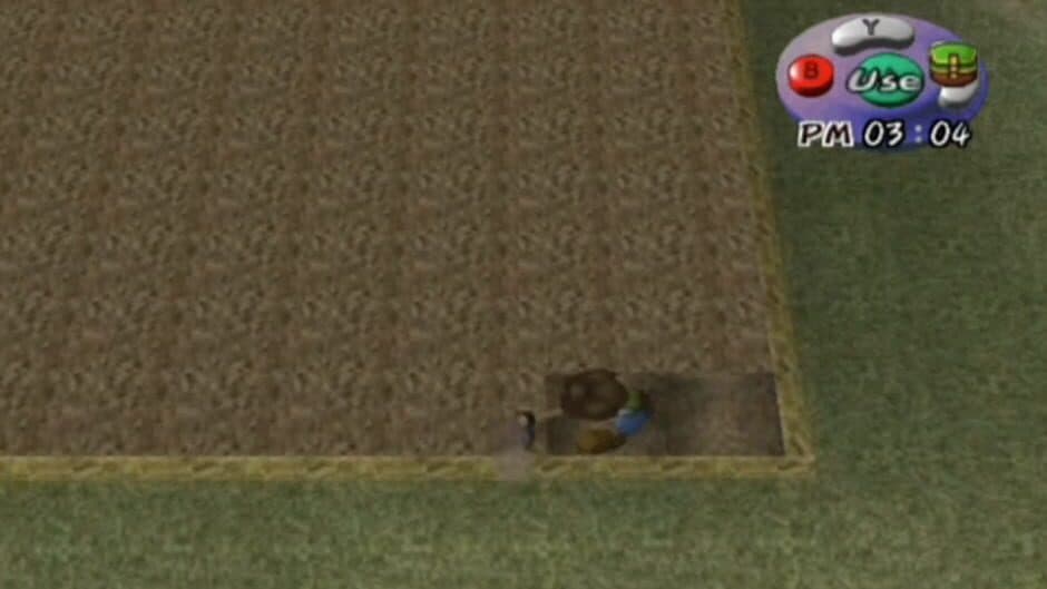 Скриншот 3 из Harvest Moon: A Wonderful Life
