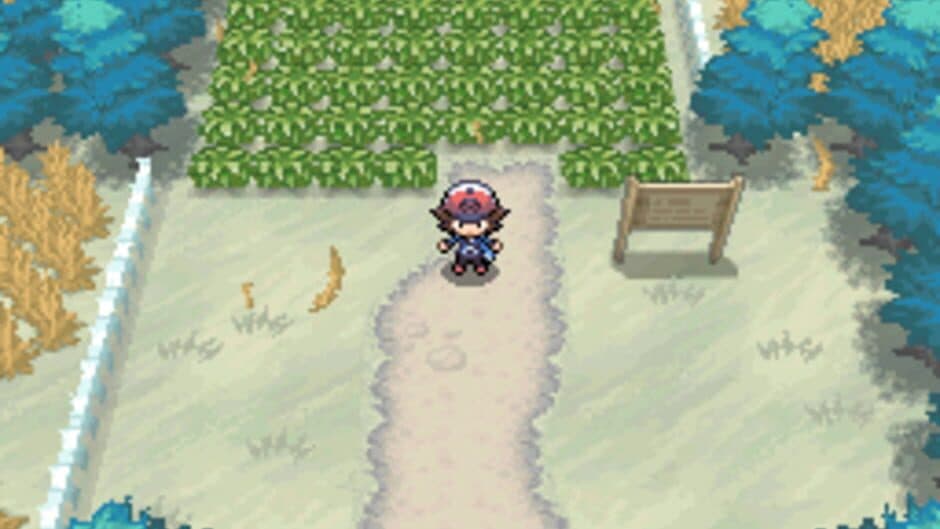Скриншот 5 из Pokémon Black Version