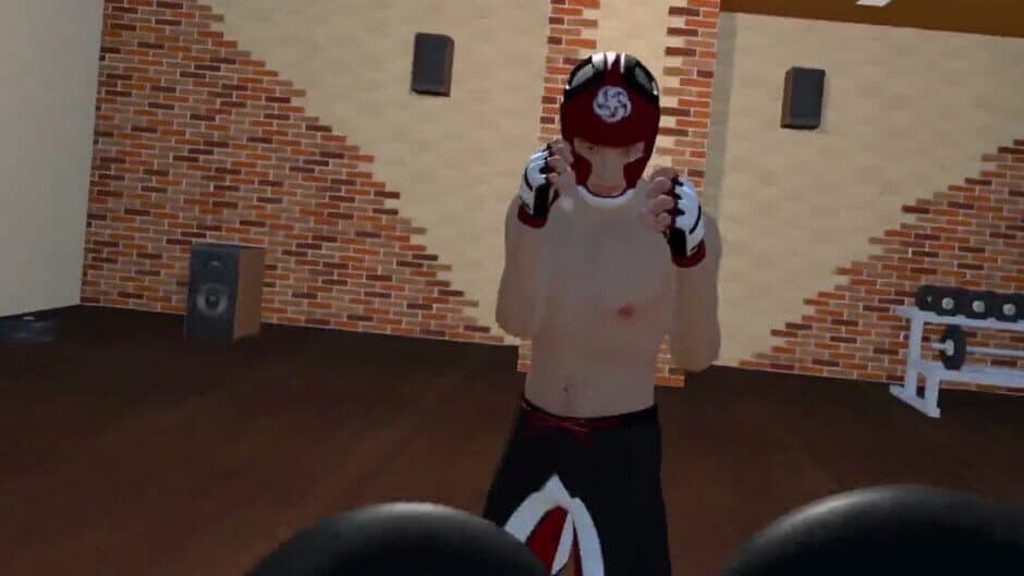 Скриншот 3 из Fight Sparring VR