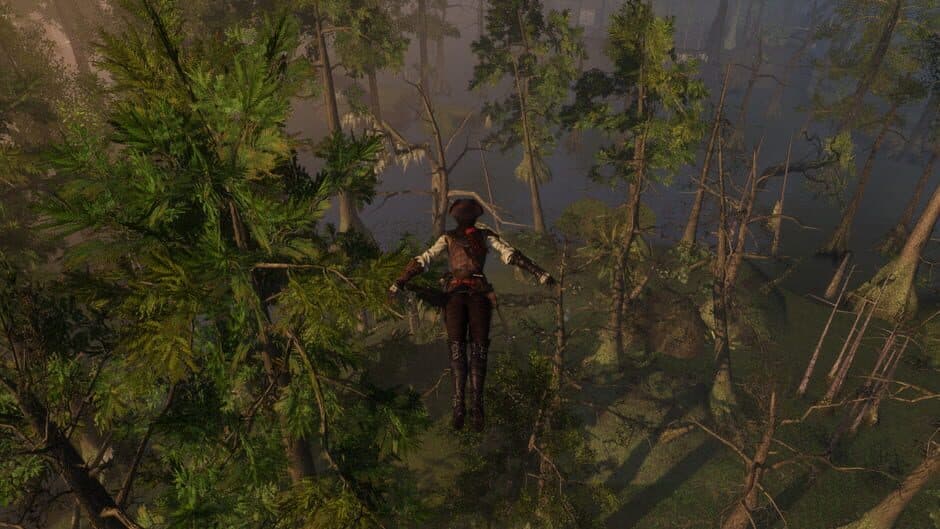 Скриншот 1 из Assassin's Creed III: Liberation