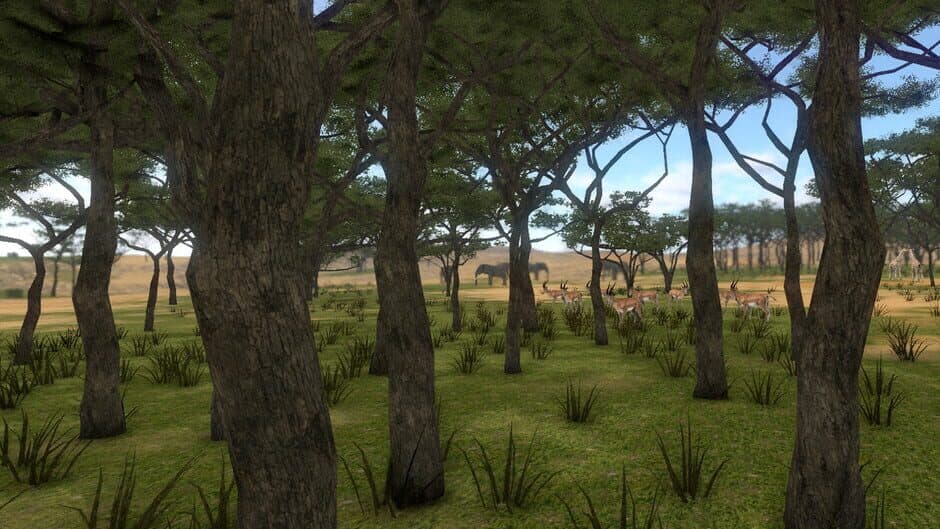 Скриншот 4 из Savanna Shot VR