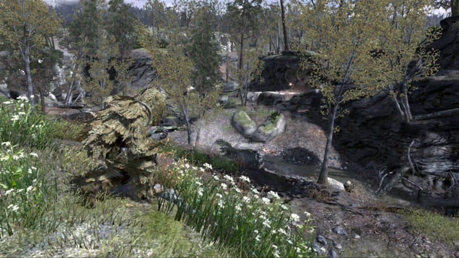 Скриншот 2 из Call of Duty 4: Modern Warfare