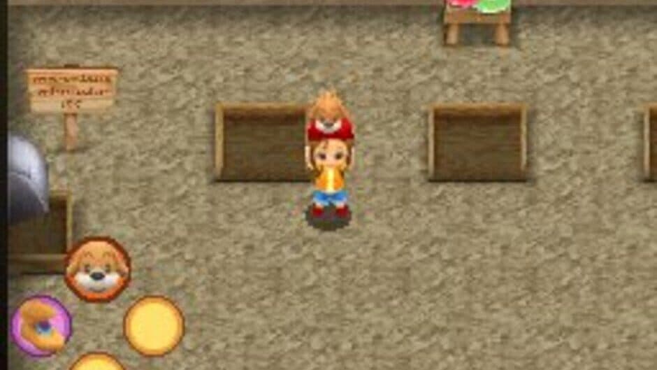 Скриншот 4 из Harvest Moon DS: Sunshine Islands
