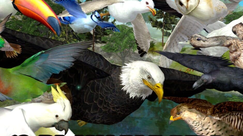 Скриншот 4 из Ultimate Bird Simulator