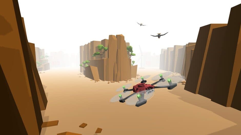 Скриншот 3 из Drone Racer: Canyons