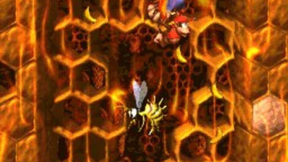 Скриншот 2 из Donkey Kong Country 2: Diddy's Kong Quest