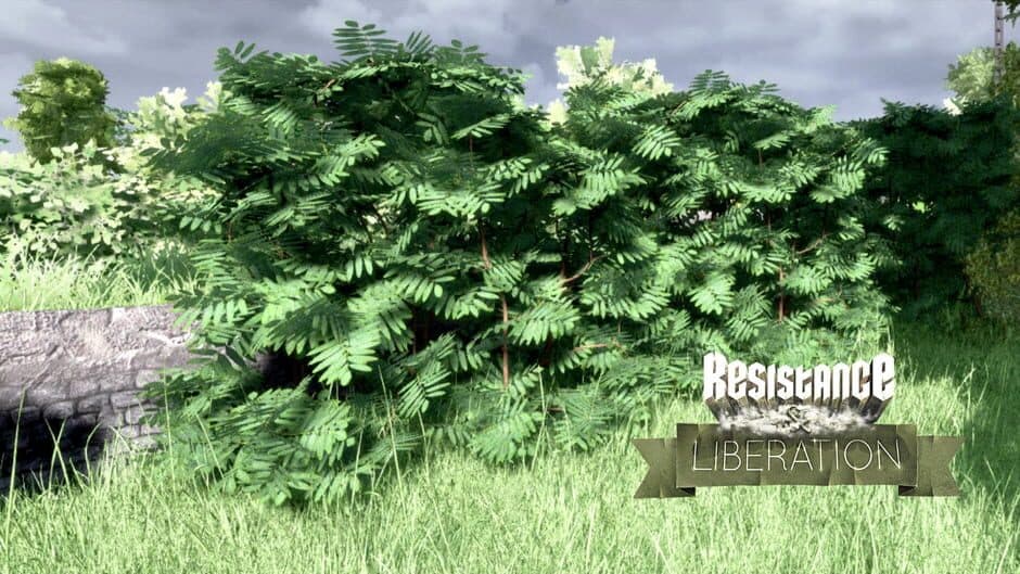 Скриншот 3 из Resistance and Liberation