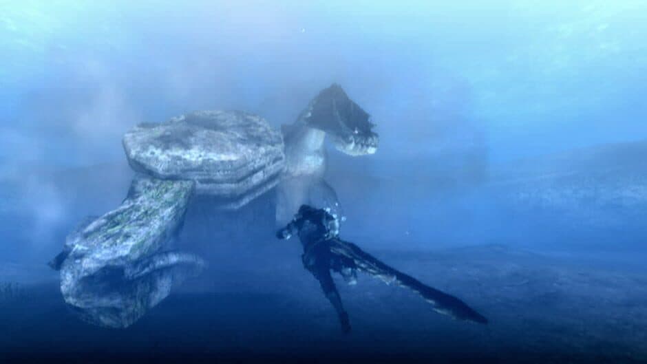 Скриншот 3 из Monster Hunter Tri