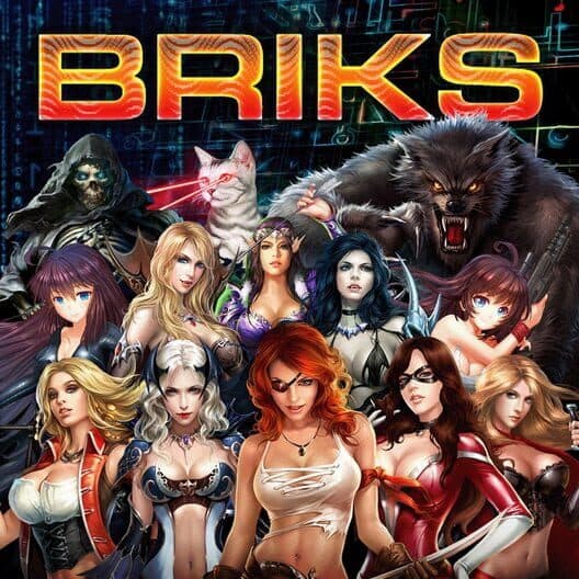Обложка Briks
