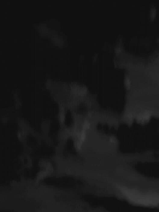Обложка Nevasca