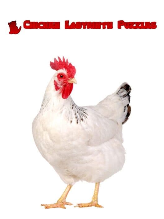 Обложка Chicken Labyrinth Puzzles