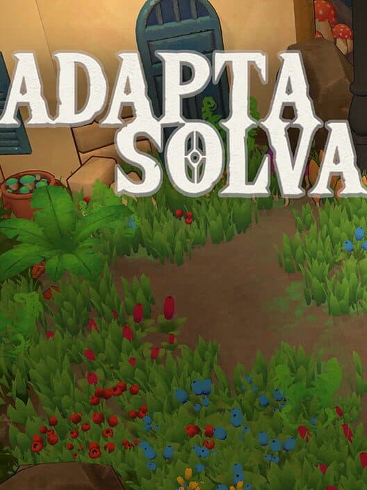 Обложка Adapta Solva