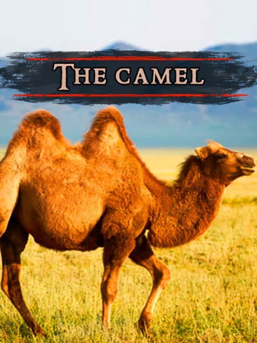 Обложка The Camel