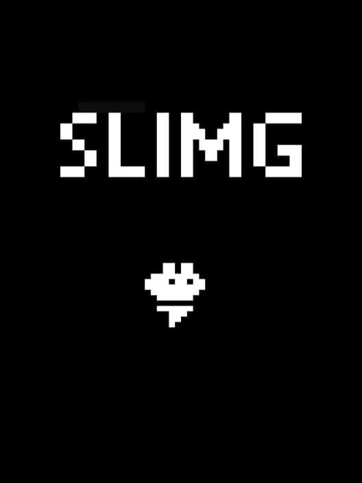 Обложка Slimg