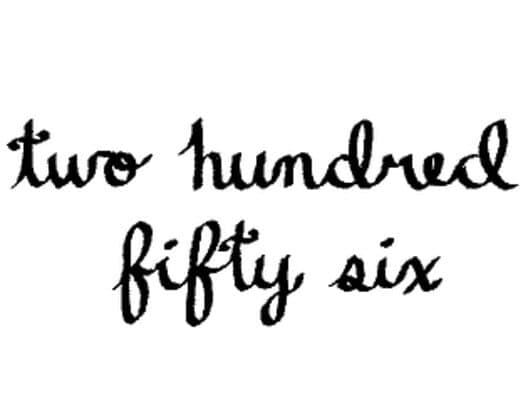 Обложка Two Hundred Fifty Six
