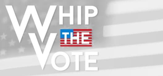 Обложка Whip the Vote