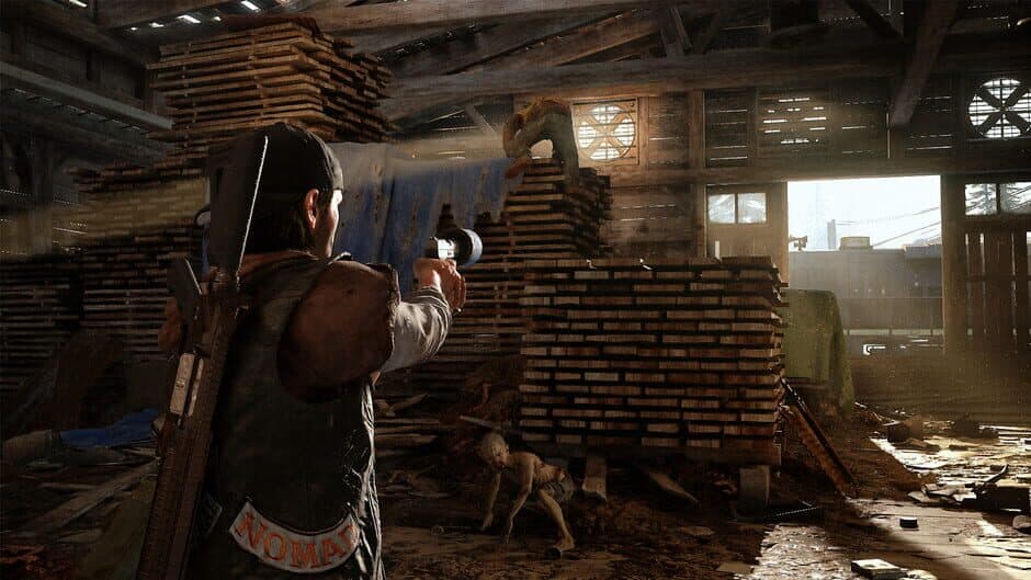Скриншот 5 из Days Gone