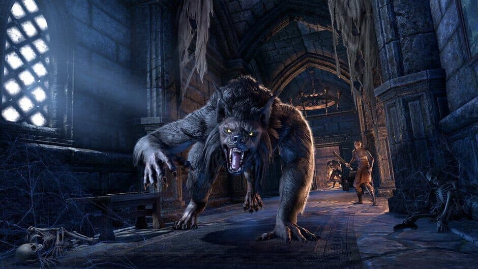 Скриншот 12 из The Elder Scrolls Online