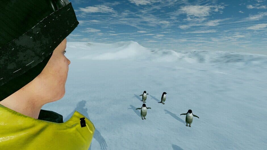 Скриншот 4 из Kolb Antarctica Experience