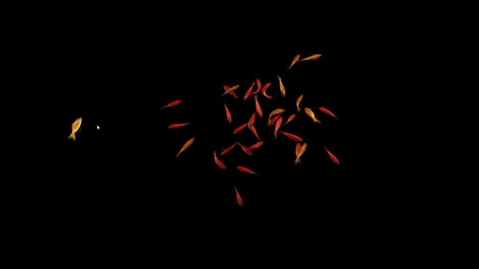 Скриншот 1 из Goldfish Simulator