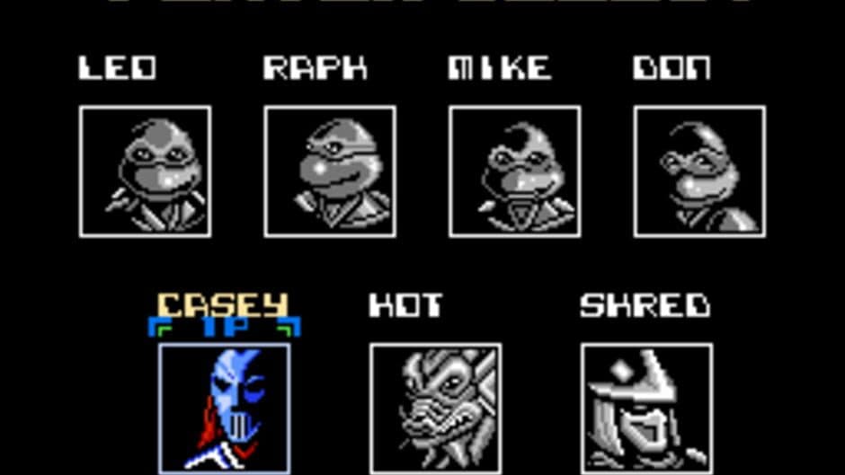 Скриншот 4 из Teenage Mutant Ninja Turtles: Tournament Fighters