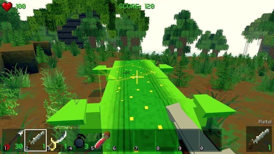 Скриншот 9 из Piratecraft