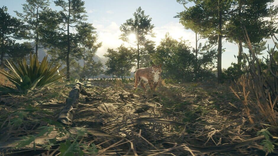 Скриншот 7 из TheHunter: Call of the Wild - Rancho del Arroyo