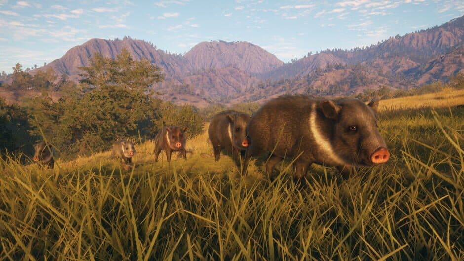 Скриншот 6 из TheHunter: Call of the Wild - Rancho del Arroyo