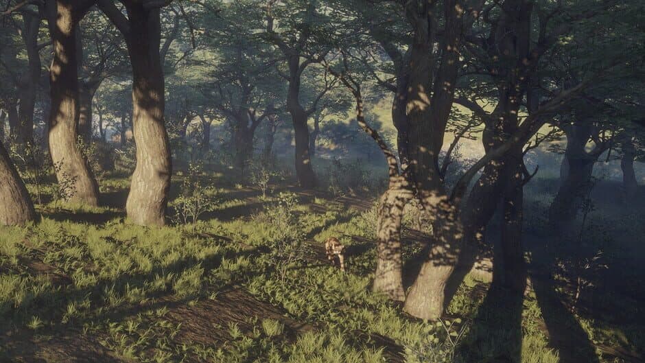Скриншот 7 из TheHunter: Call of the Wild - Parque Fernando
