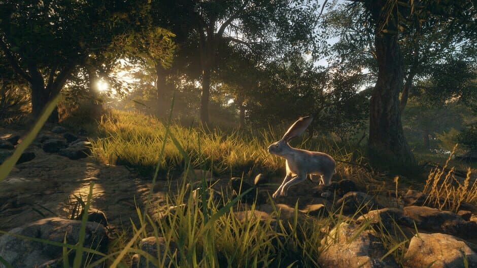 Скриншот 4 из TheHunter: Call of the Wild - Rancho del Arroyo