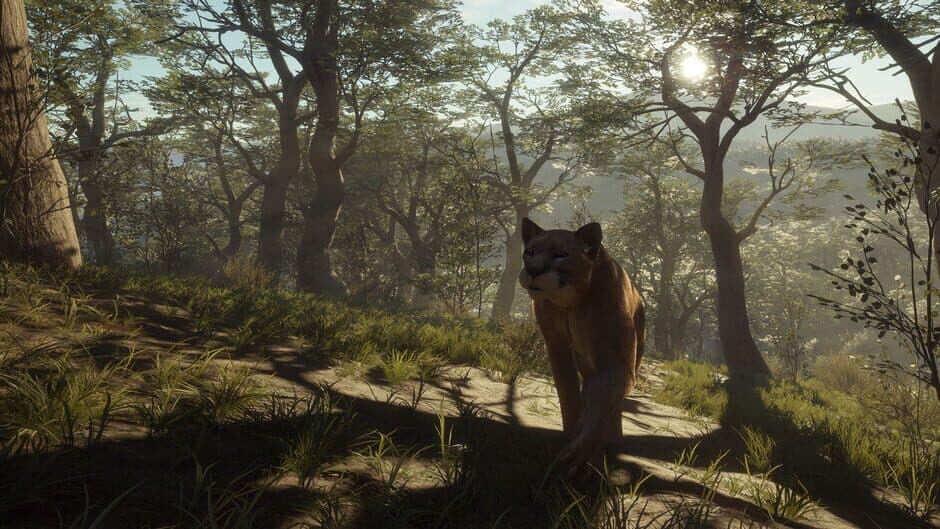 Скриншот 1 из TheHunter: Call of the Wild - Parque Fernando