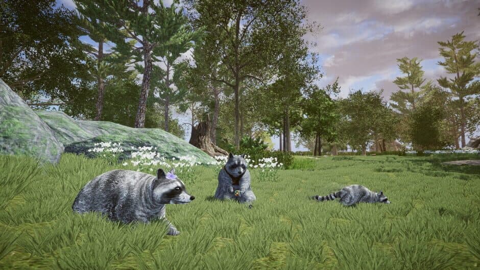 Скриншот 11 из Wanted Raccoon