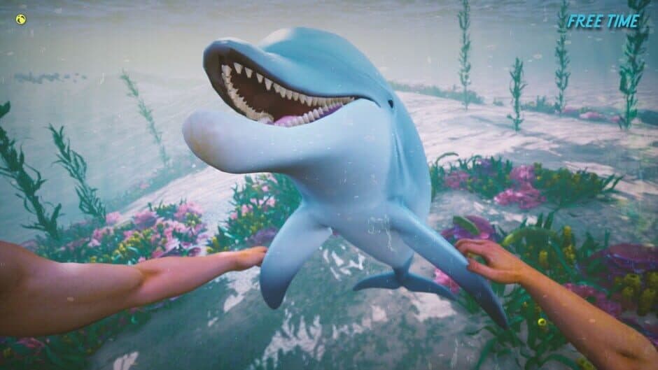 Скриншот 4 из Dolphin Trainer VR