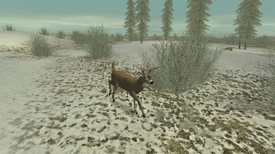 Скриншот 5 из Hunting Unlimited 2