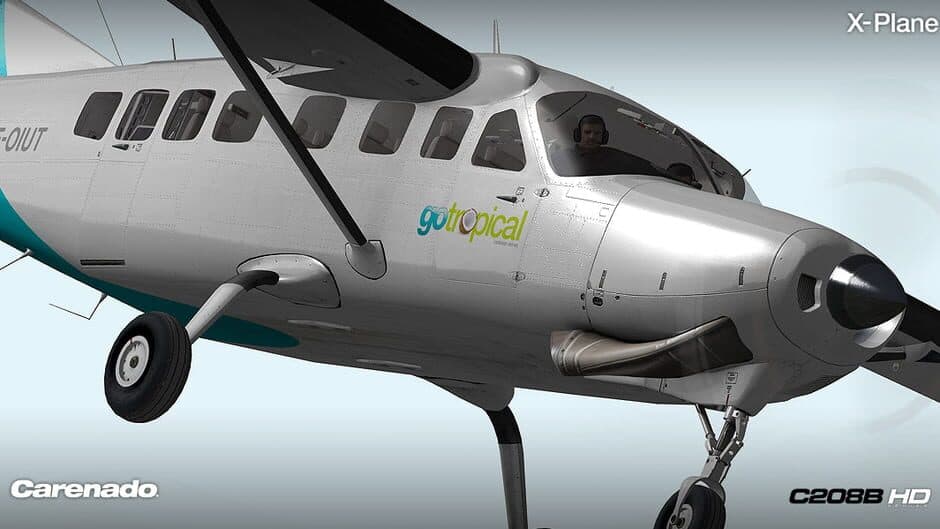 Скриншот 5 из X-Plane 10 Global: Carenado - C208B Grand Caravan