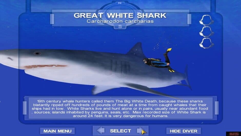 Скриншот 1 из Shark! Hunting the Great White