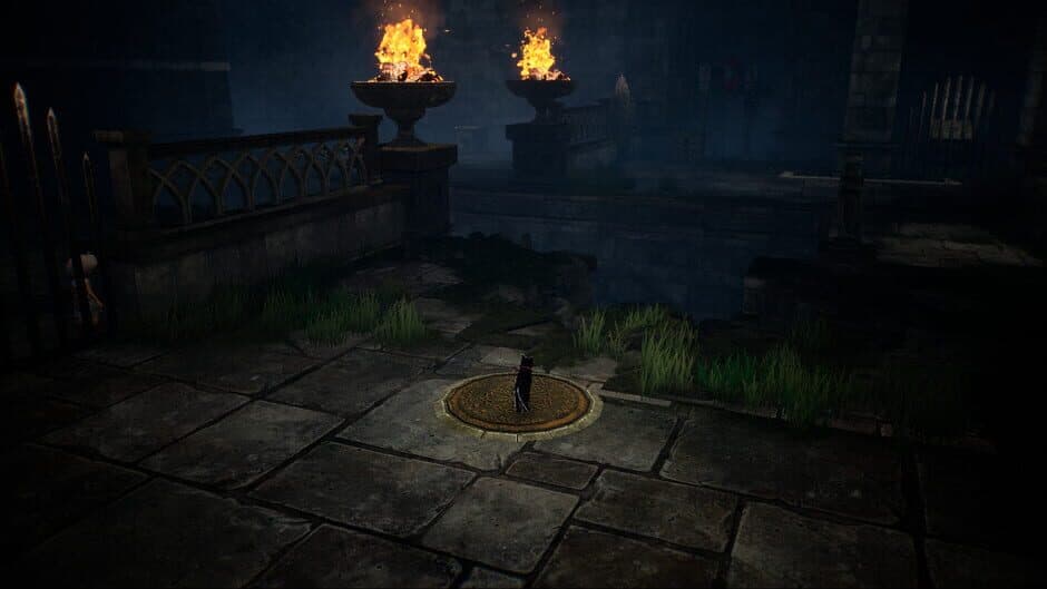 Скриншот 10 из Light: Black Cat & Amnesia Girl