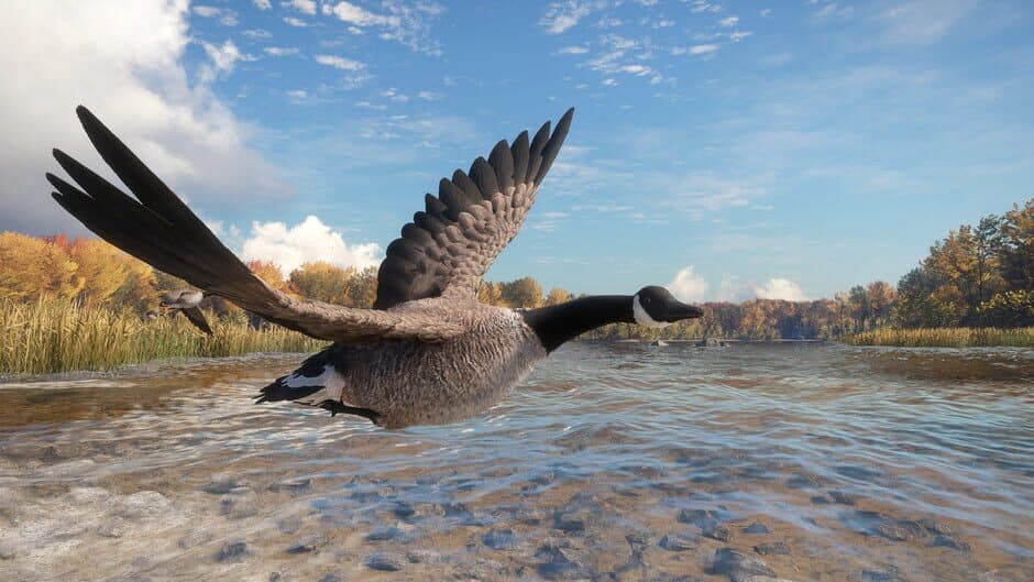 Скриншот 11 из TheHunter: Call of the Wild - Wild Goose Chase Gear
