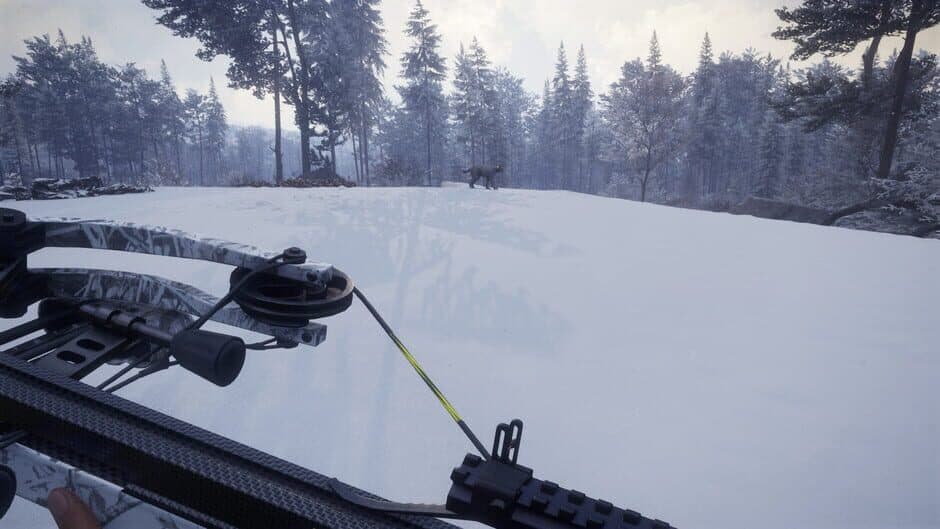 Скриншот 7 из TheHunter: Call of the Wild - Weapon Pack 1